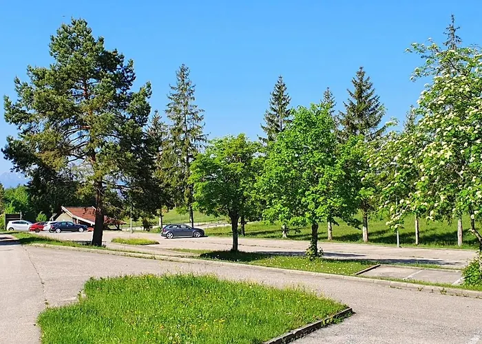Prázdninový dům Am Hochbergle Haus 37 *